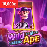 Chương trình đối tác không rủi ro BET77 Nhà Cái
