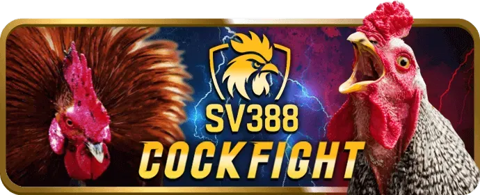 Hỗ trợ kỹ thuật chuyên sâu bet77 nhà cái giải quyết mọi vấn đề